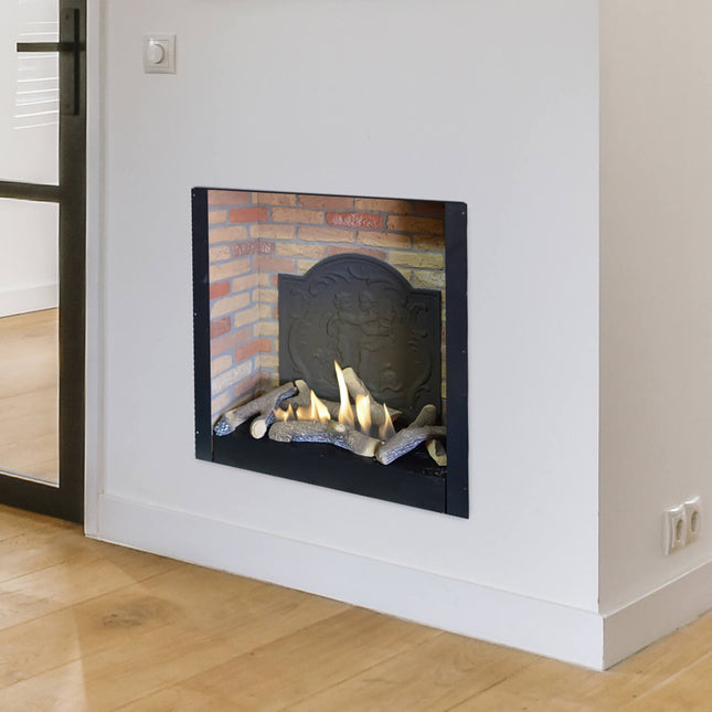 Xaralyn Inbouwunit L medaillon bio-ethanol haard