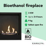 Xaralyn Inbouwunit L bio-ethanol haard